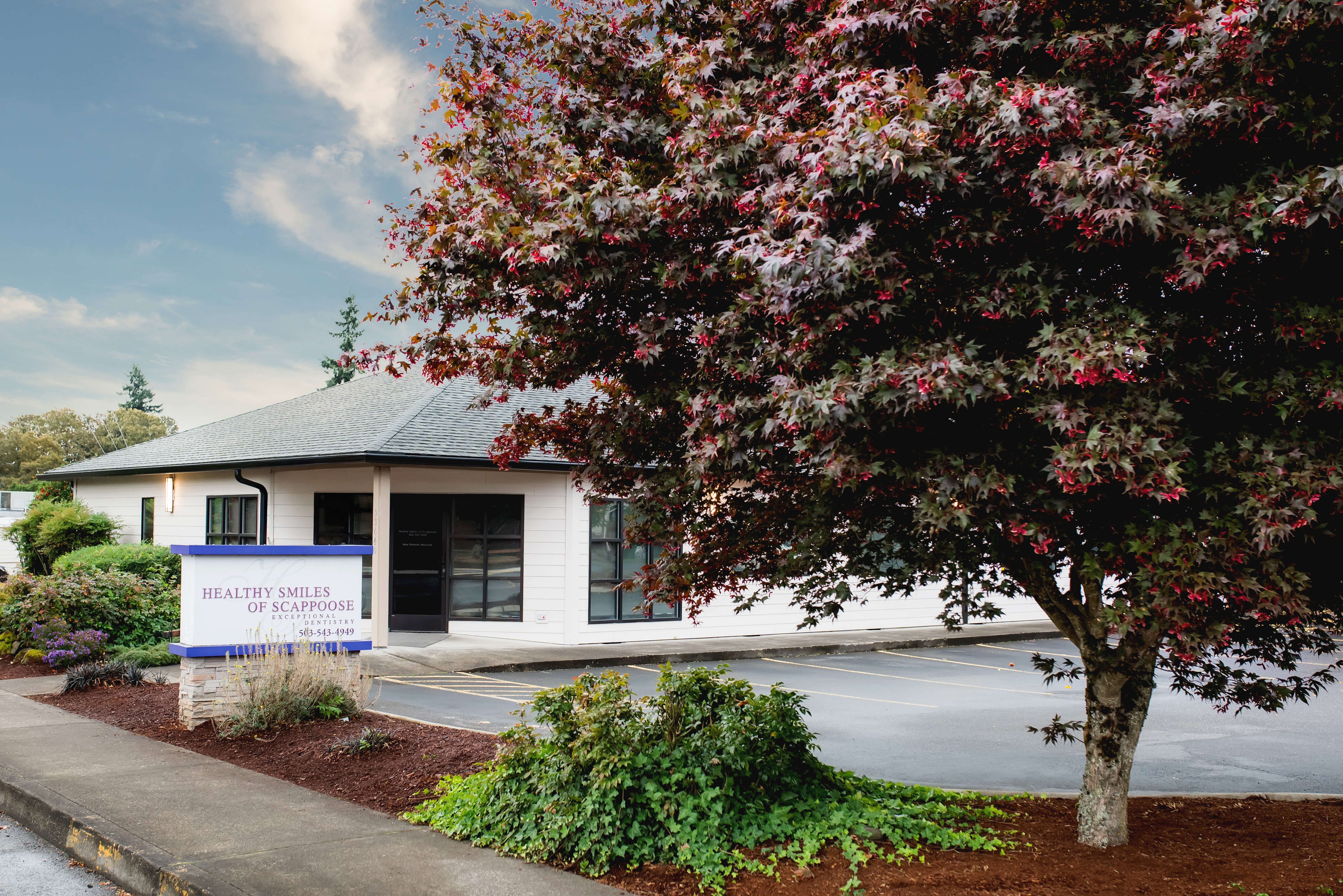 Healthy Smiles of Scappoose | Dental Cleanings, Panoramic Imaging and Invisalign&reg;